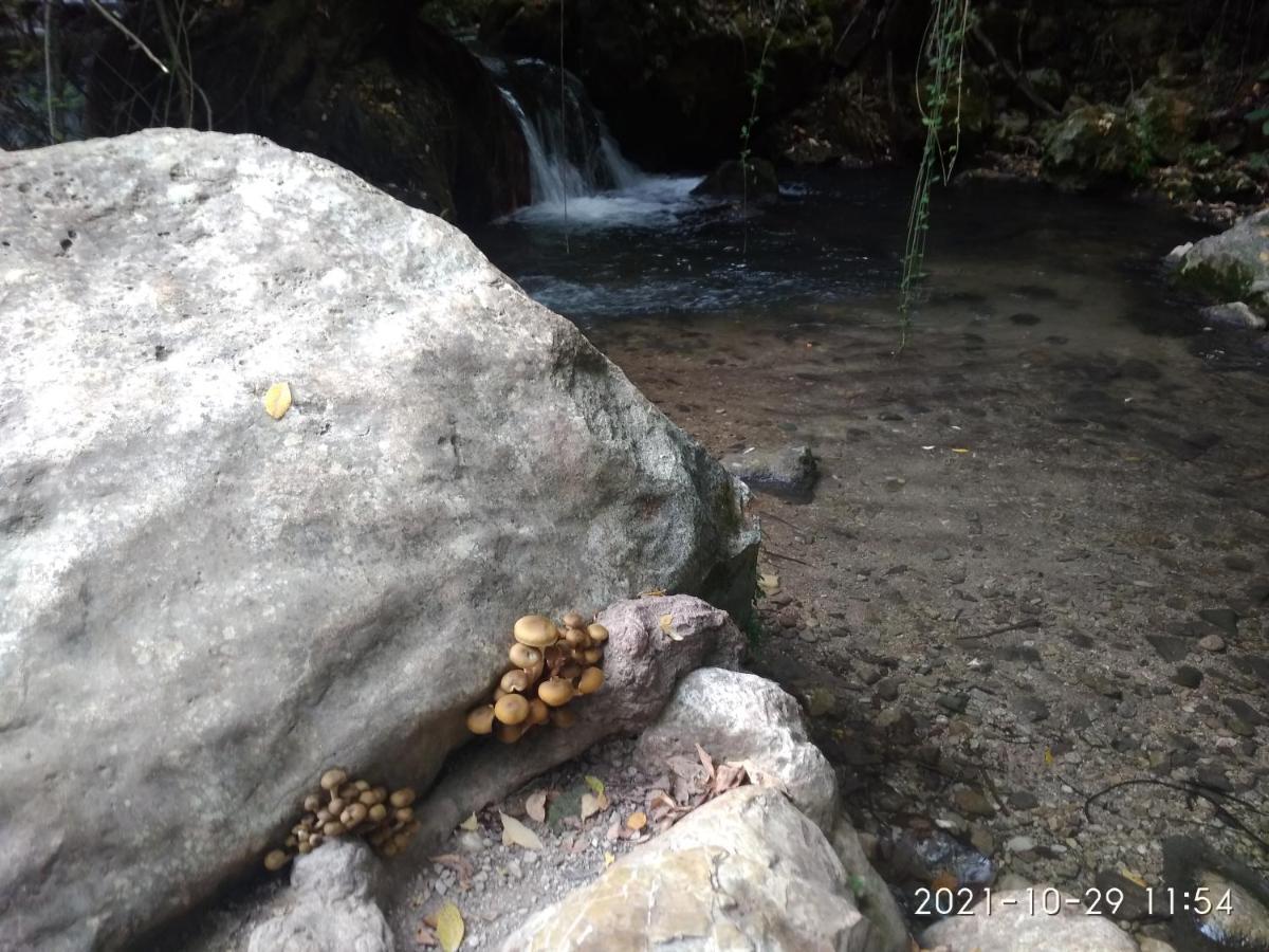Apartamento Casa Romero El Bosque Bagian luar foto